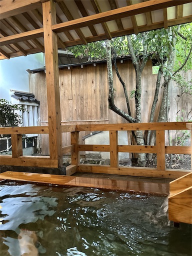 f:id:ksakmh:20250831094851j:image f:id:ksakmh:20250831094851j:image