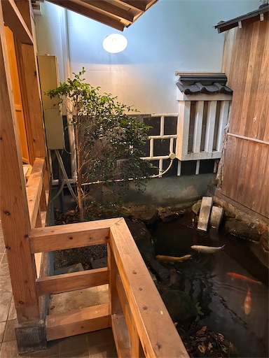 f:id:ksakmh:20250831094854j:image f:id:ksakmh:20250831094854j:image