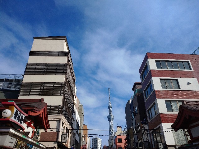 f:id:kumarihaami:20251229221242j:image f:id:kumarihaami:20251229221242j:image