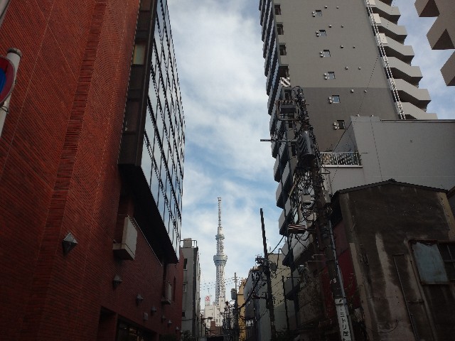 f:id:kumarihaami:20251229221323j:image f:id:kumarihaami:20251229221323j:image