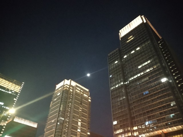 f:id:kumarihaami:20251231182435j:image f:id:kumarihaami:20251231182435j:image