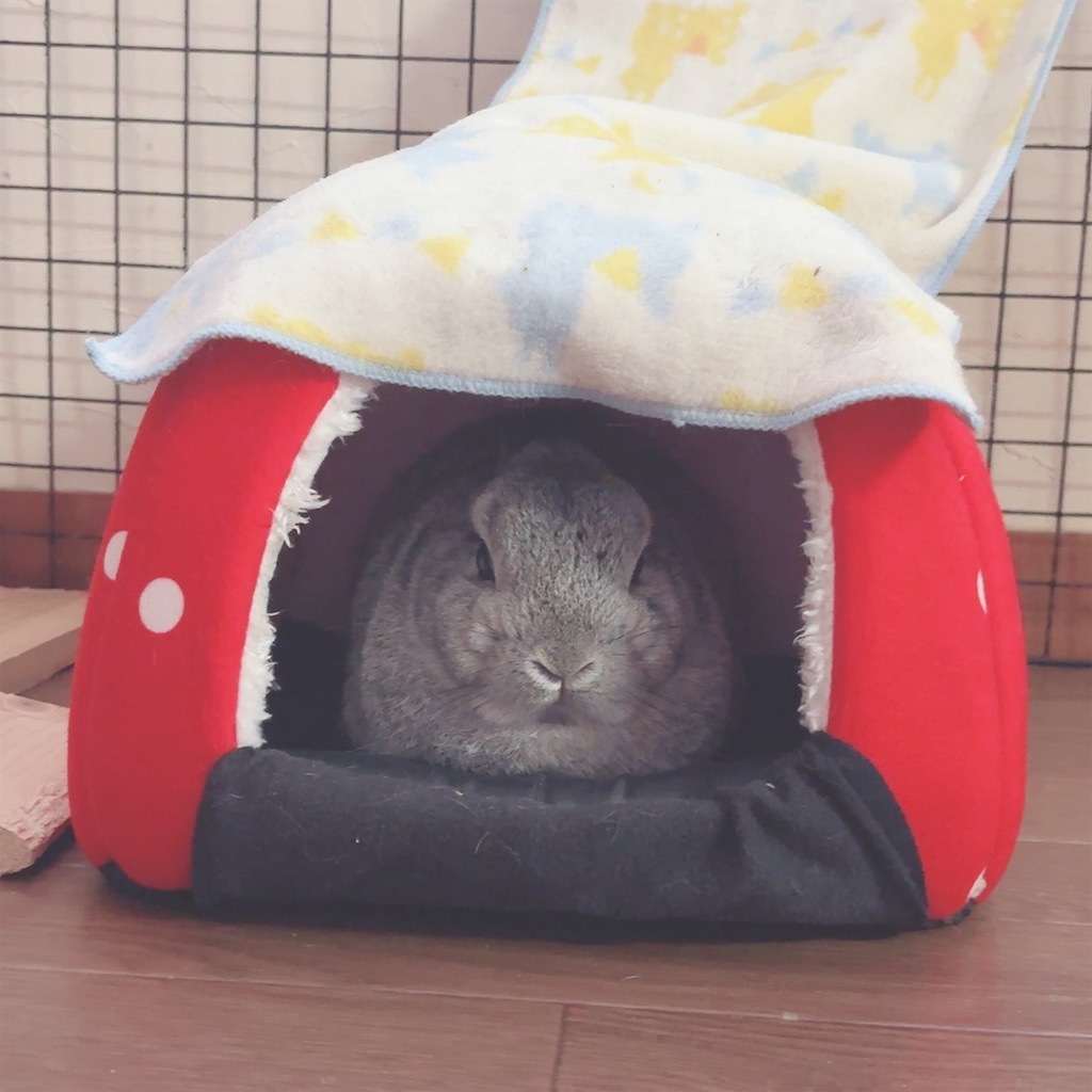 f:id:lv99end:20251125132248j:image f:id:lv99end:20251125132248j:image