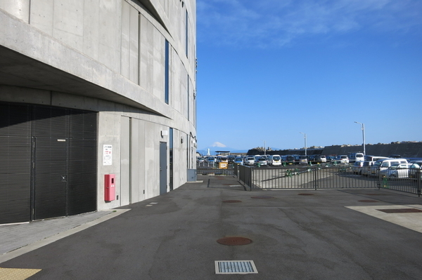 岡田港から見た富士山