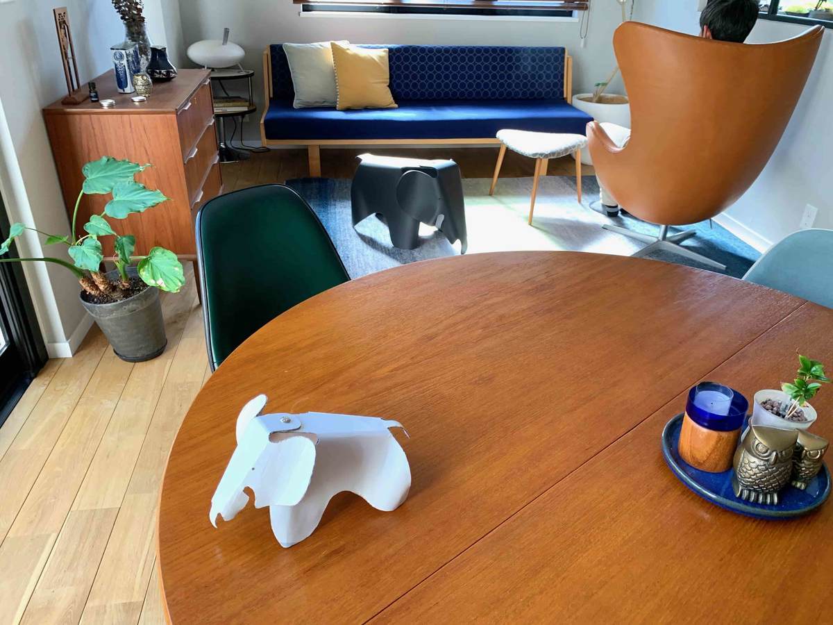 f:id:mashley_slt:20200513230251j:plain f:id:mashley_slt:20200513230251j:plain