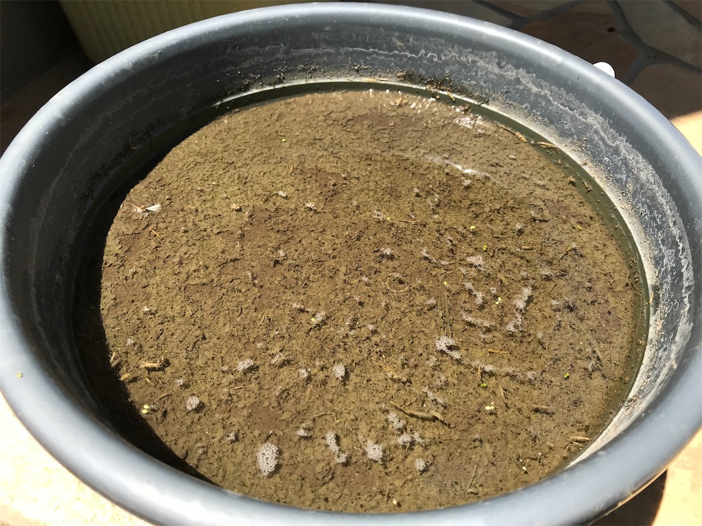 f:id:matundaba79:20200509101900j:image f:id:matundaba79:20200509101900j:image