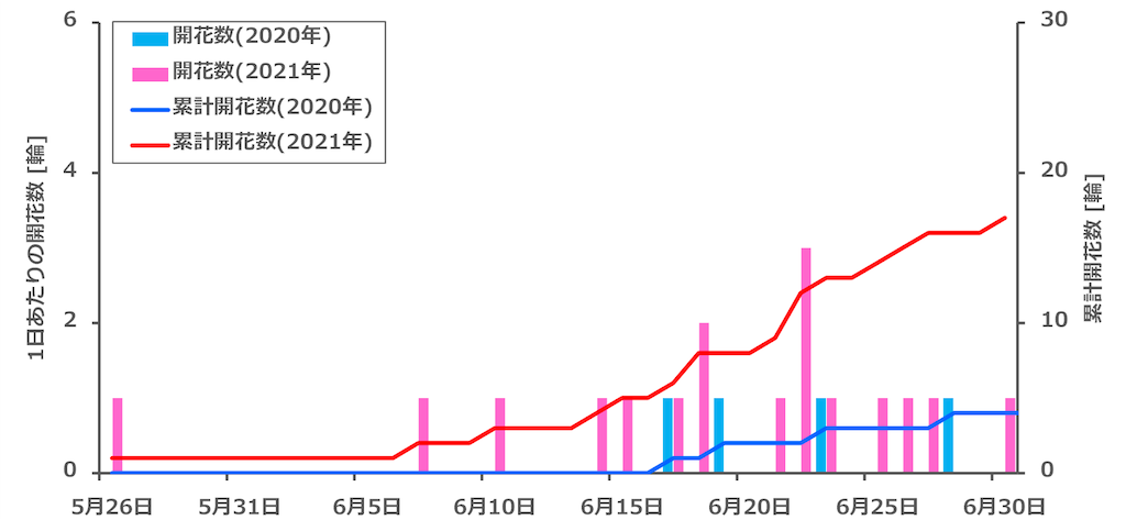 f:id:matundaba79:20210704235150p:image f:id:matundaba79:20210704235150p:image