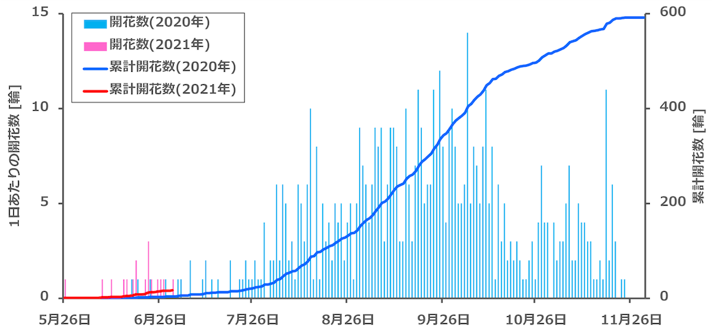 f:id:matundaba79:20210704235155p:image f:id:matundaba79:20210704235155p:image
