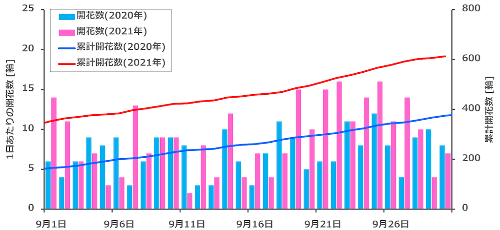 f:id:matundaba79:20211002232213p:image f:id:matundaba79:20211002232213p:image