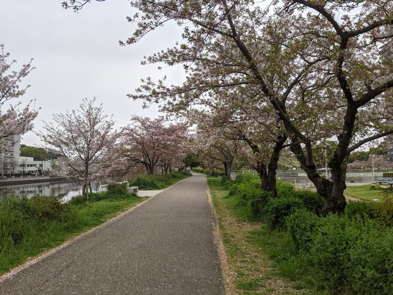 f:id:matypoyo:20210404131016j:plain