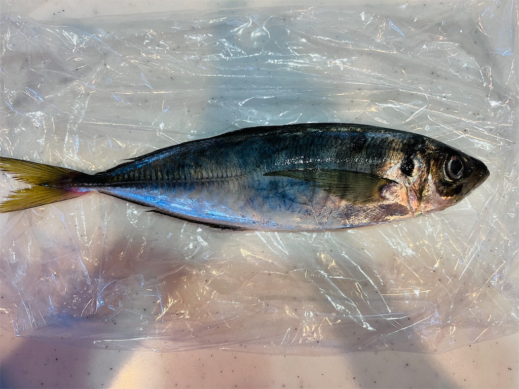 f:id:mendokusainoYADA:20231204112308j:image f:id:mendokusainoYADA:20231204112308j:image