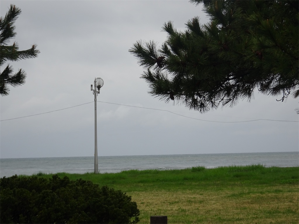 f:id:mikan_246:20250517171726j:image f:id:mikan_246:20250517171726j:image