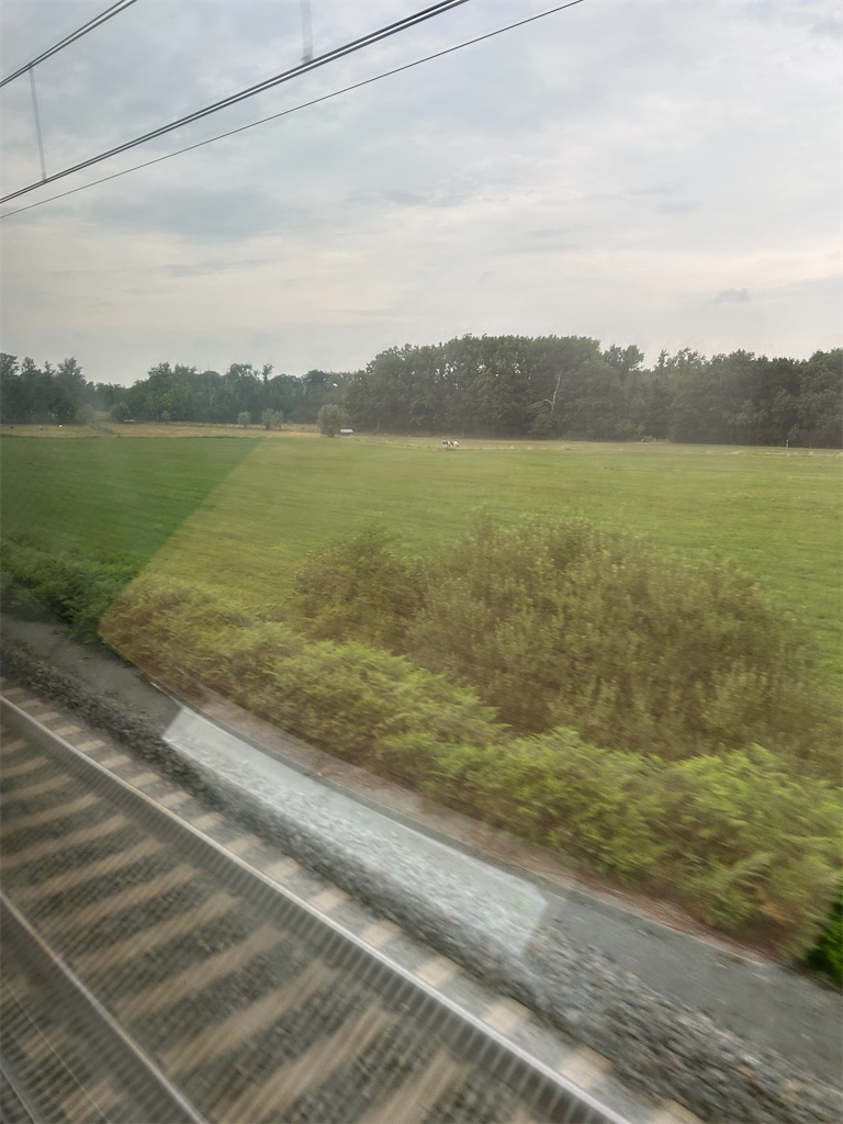 f:id:mimimomorie:20250820102059j:image f:id:mimimomorie:20250820102059j:image