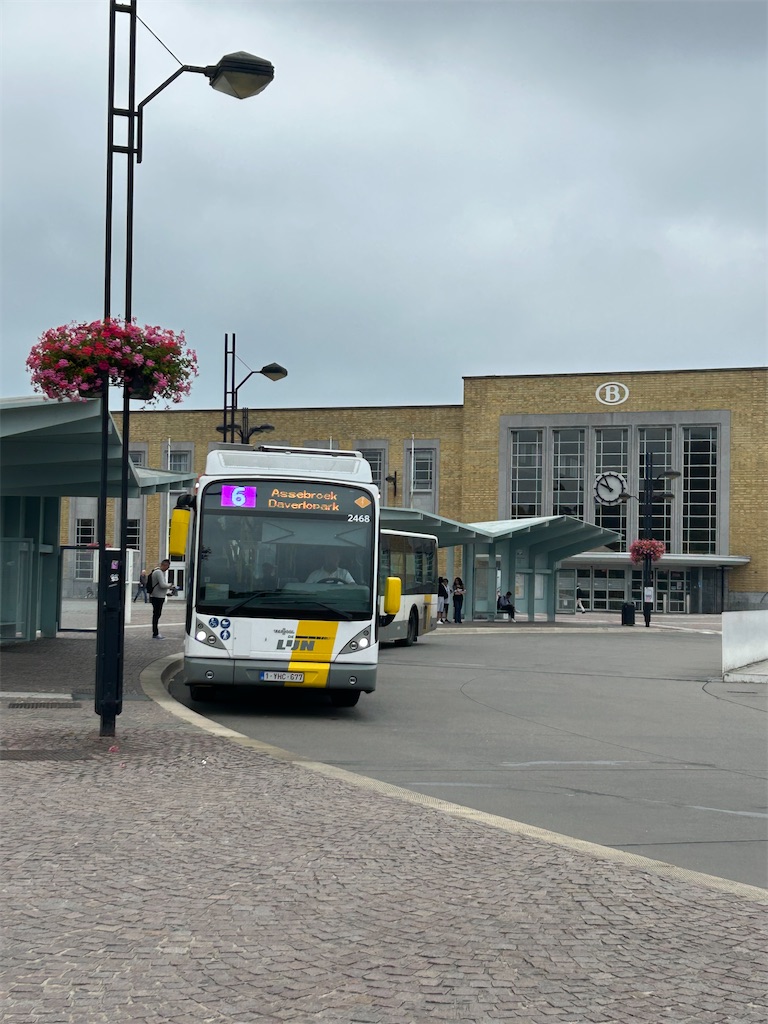 f:id:mimimomorie:20250820102342j:image f:id:mimimomorie:20250820102342j:image