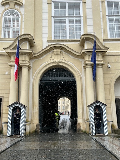 f:id:mimimomorie:20251130163118j:image f:id:mimimomorie:20251130163118j:image