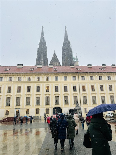 f:id:mimimomorie:20251216225820j:image f:id:mimimomorie:20251216225820j:image