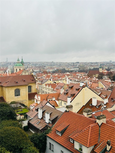 f:id:mimimomorie:20251226214809j:image f:id:mimimomorie:20251226214809j:image