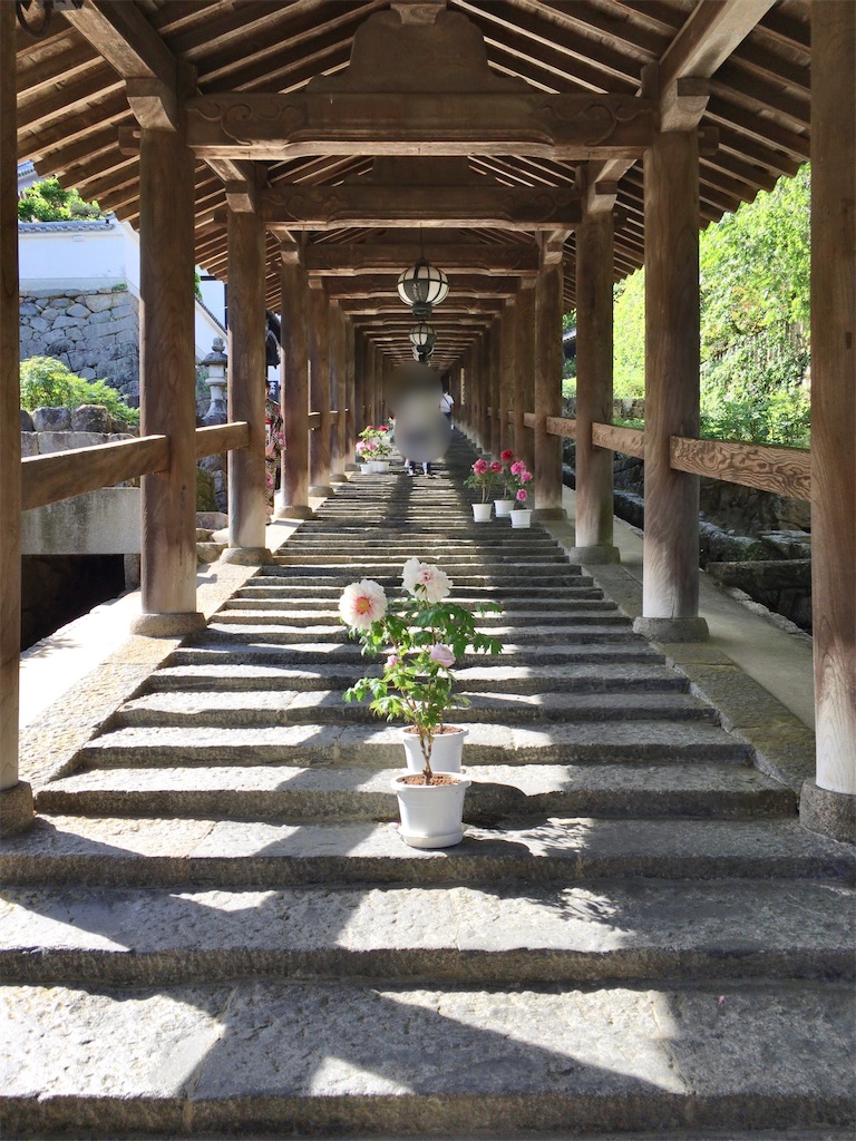 f:id:minghuabj:20221023235651j:image f:id:minghuabj:20221023235651j:image