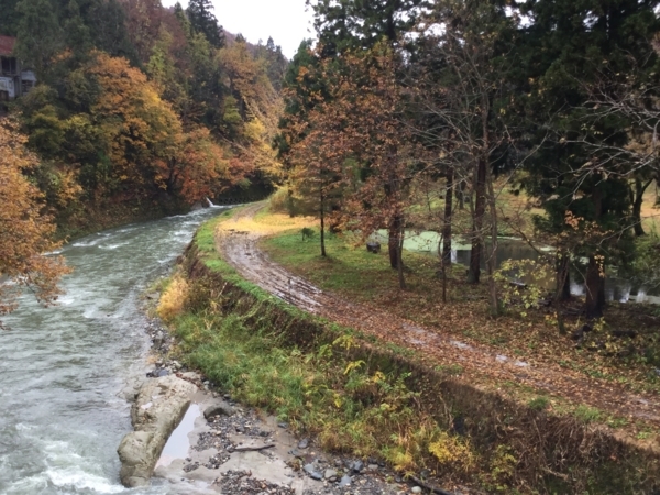 f:id:minimal1991:20171113122819j:plain f:id:minimal1991:20171113122819j:plain