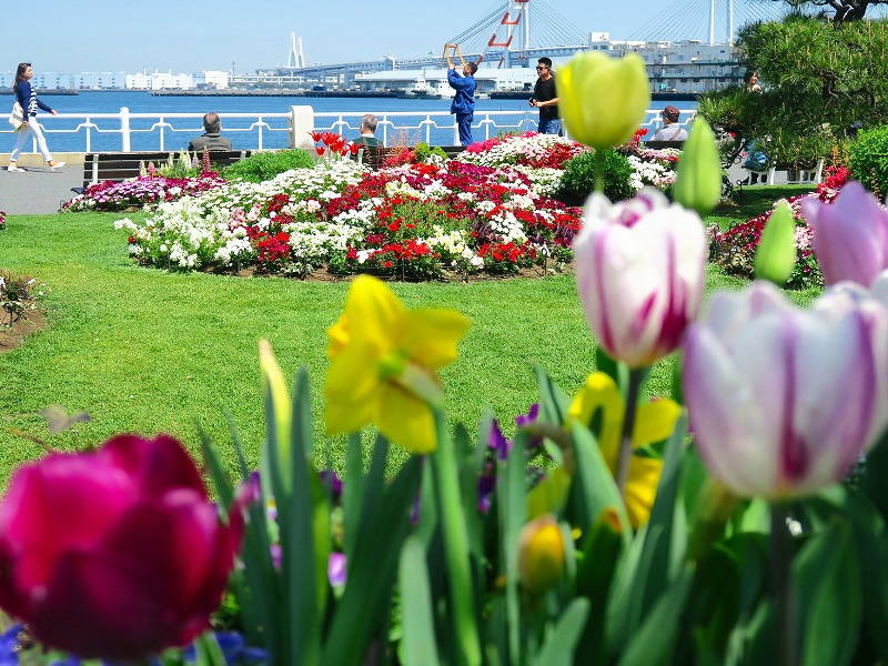 f:id:minnano58:20170426181219j:plain f:id:minnano58:20170426181219j:plain