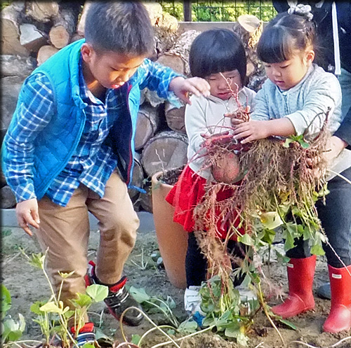 f:id:mio20100501:20161030210644j:image:w360:left f:id:mio20100501:20161030210644j:image:w360:left