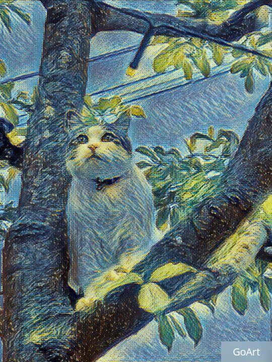 f:id:mishacarrot:20210701164935j:plain