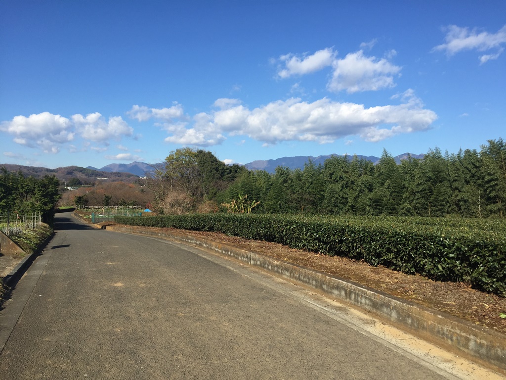 f:id:miwa3k:20161231134854j:plain f:id:miwa3k:20161231134854j:plain