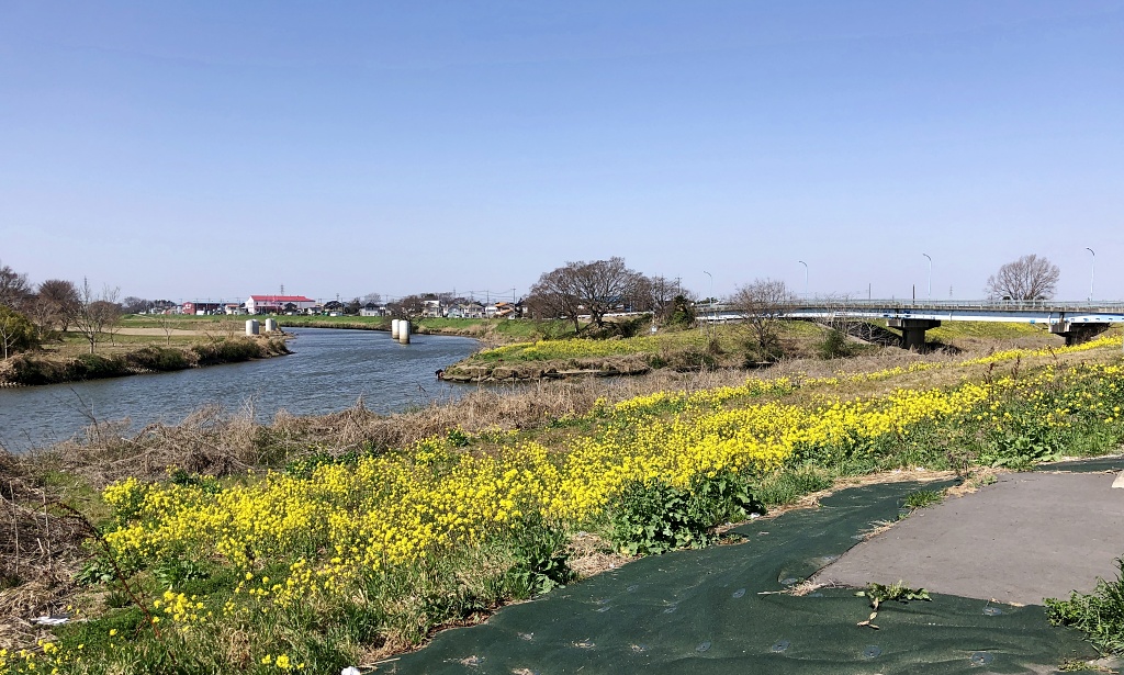 f:id:miwa3k:20210404125745j:plain