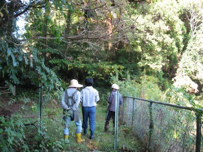 f:id:miyotya:20111113100401j:image f:id:miyotya:20111113100401j:image