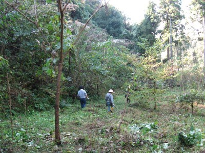 f:id:miyotya:20111113112340j:image f:id:miyotya:20111113112340j:image