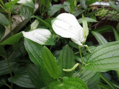 f:id:miyotya:20120621163008j:image f:id:miyotya:20120621163008j:image