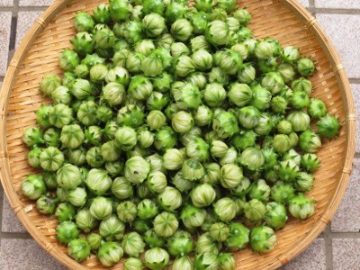 f:id:miyotya:20141024180322j:image f:id:miyotya:20141024180322j:image