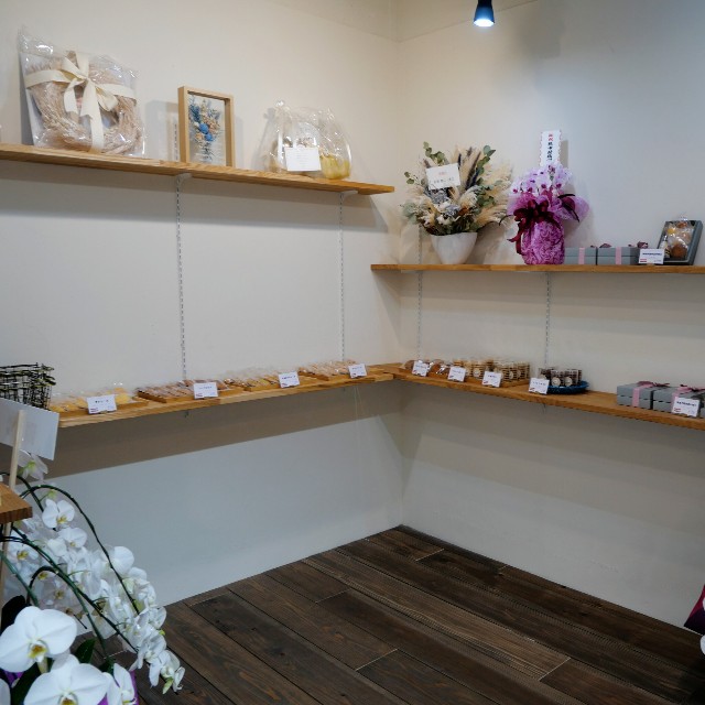 f:id:modokimaru:20241107083551j:image f:id:modokimaru:20241107083551j:image