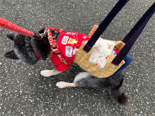 f:id:morinobanana:20201001230050j:image f:id:morinobanana:20201001230050j:image