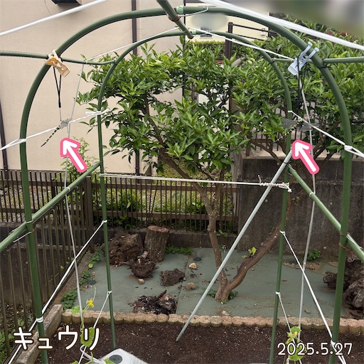 f:id:morinobanana:20250701182315j:image f:id:morinobanana:20250701182315j:image