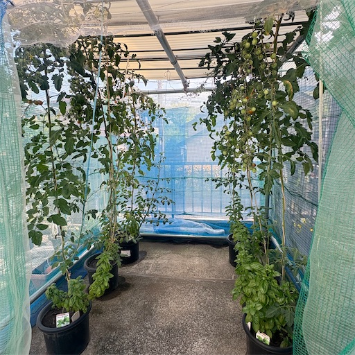 f:id:morinobanana:20251111225325j:image f:id:morinobanana:20251111225325j:image