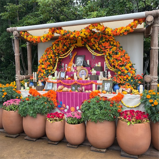 f:id:morinobanana:20251117143933j:image f:id:morinobanana:20251117143933j:image