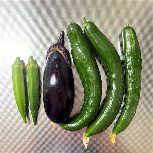 f:id:morinobanana:20251120100808j:image f:id:morinobanana:20251120100808j:image