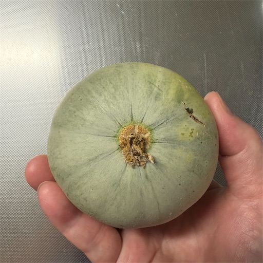 f:id:morinobanana:20251120101032j:image f:id:morinobanana:20251120101032j:image