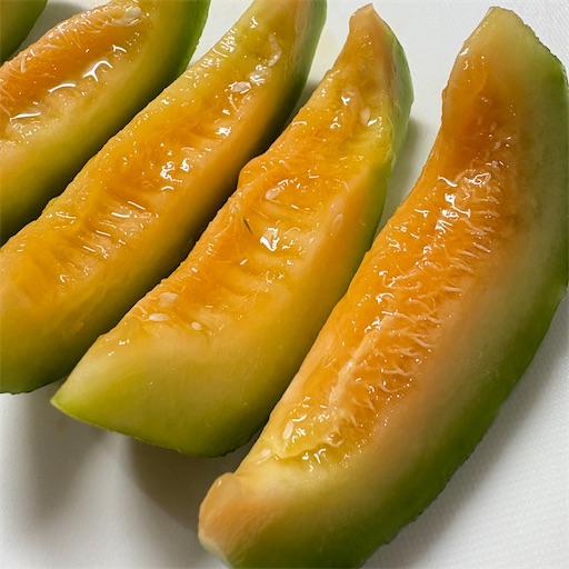 f:id:morinobanana:20251120101306j:image f:id:morinobanana:20251120101306j:image