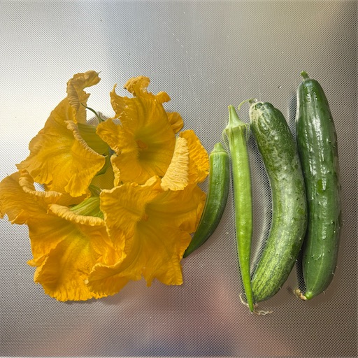 f:id:morinobanana:20251124125858j:image f:id:morinobanana:20251124125858j:image