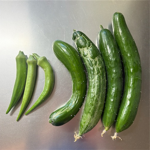 f:id:morinobanana:20251124130105j:image f:id:morinobanana:20251124130105j:image