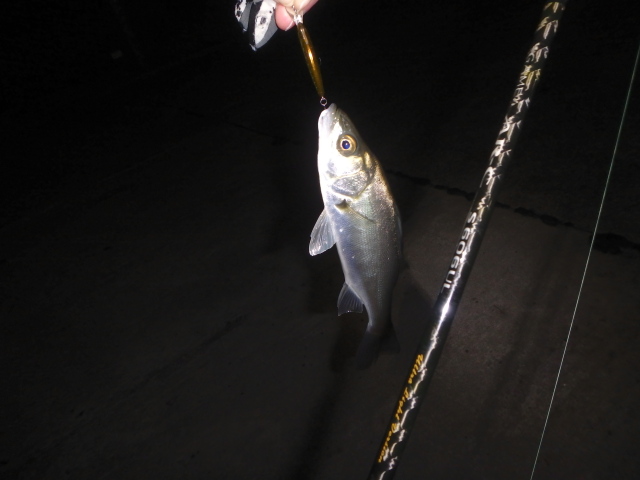 f:id:mu_weblog:20200102234234j:plain f:id:mu_weblog:20200102234234j:plain