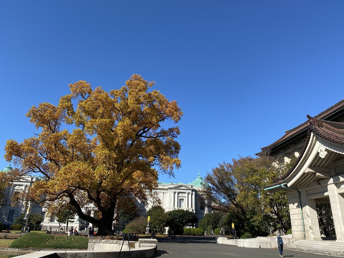 f:id:muranaga:20211113110023j:plain