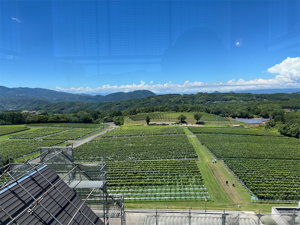 f:id:narutabi:20250729124025j:image f:id:narutabi:20250729124025j:image