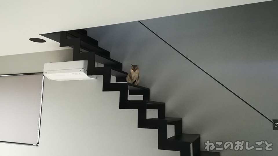 f:id:necozuki299:20200421150531j:plain f:id:necozuki299:20200421150531j:plain