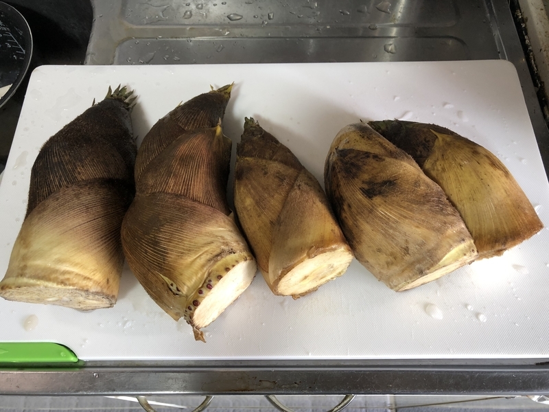 f:id:negineesan:20200423182629j:plain f:id:negineesan:20200423182629j:plain