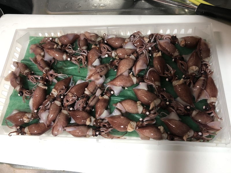 f:id:negineesan:20200423182723j:plain f:id:negineesan:20200423182723j:plain