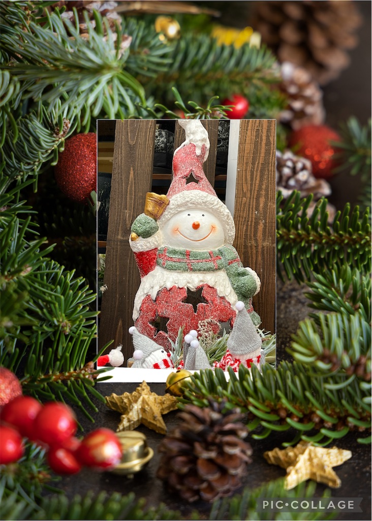 f:id:nekokichi2856:20251206191905j:image f:id:nekokichi2856:20251206191905j:image