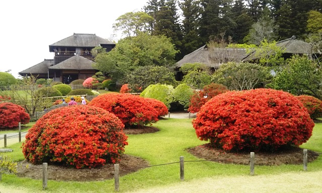 f:id:nekoyanookami:20190503221514j:plain f:id:nekoyanookami:20190503221514j:plain