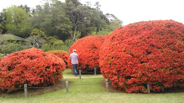 f:id:nekoyanookami:20190503221655j:plain f:id:nekoyanookami:20190503221655j:plain